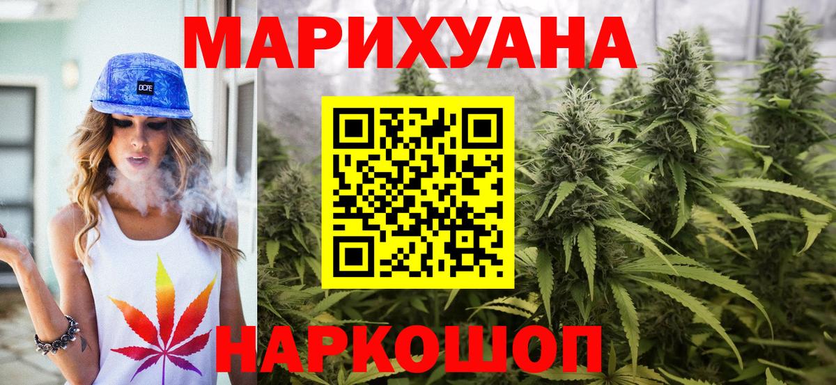 Бошки Шишки план Сокол